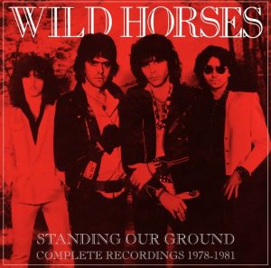 Wild Horses Standing Our Ground